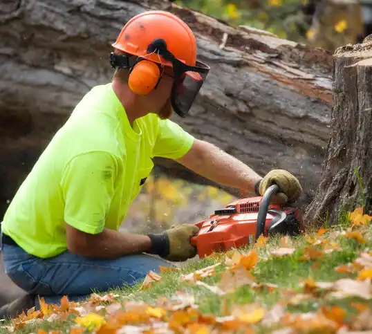 tree services Pinardville